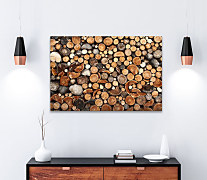 Obraz Drevo guľatina imitácia 1530